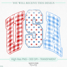 Load image into Gallery viewer, Gingham Varsity USA