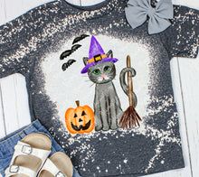 Load image into Gallery viewer, Halloween Witch Cat