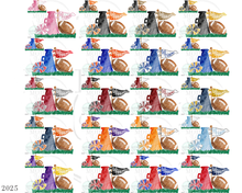 Load image into Gallery viewer, Girl&#39;s Football Team - Bundle
