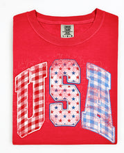 Load image into Gallery viewer, Gingham Varsity USA
