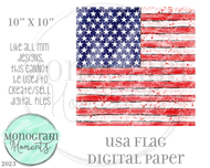 USA Flag DP