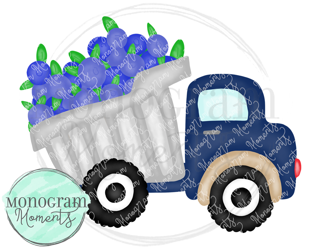 Boy's Blueberry Dump Truck
