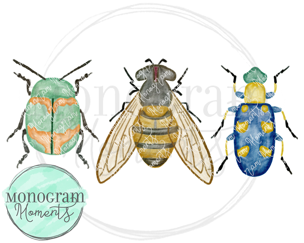 Realistic Bug Trio – Monogram Moments