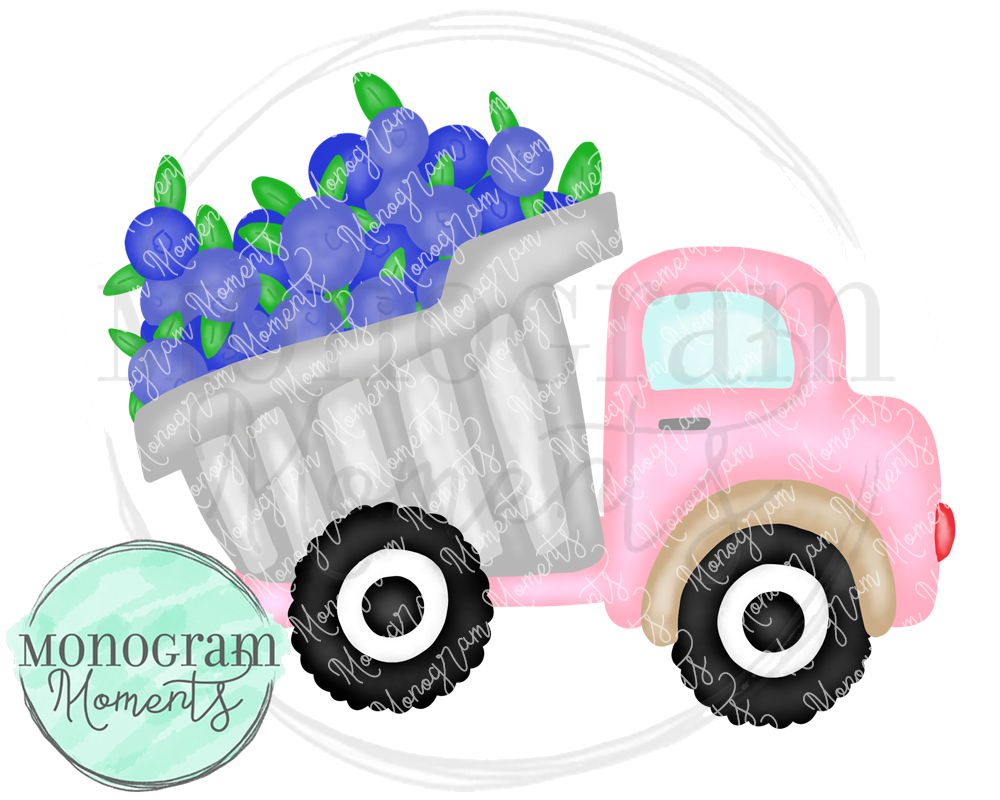 Girl's Blueberry Dump Truck