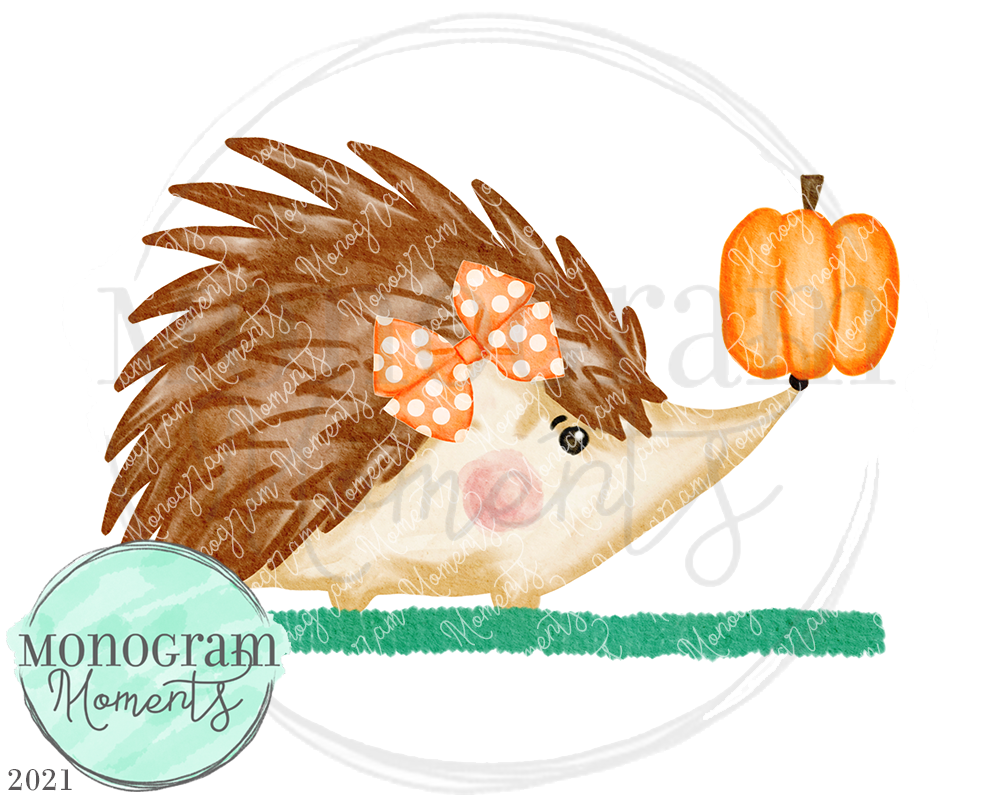 Girl's Hedgehog Pumpkin