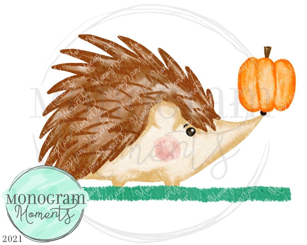 Hedgehog Pumpkin