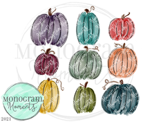 Load image into Gallery viewer, 9 Fall Pumpkins
