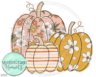 Girl's Boho Pumpkins