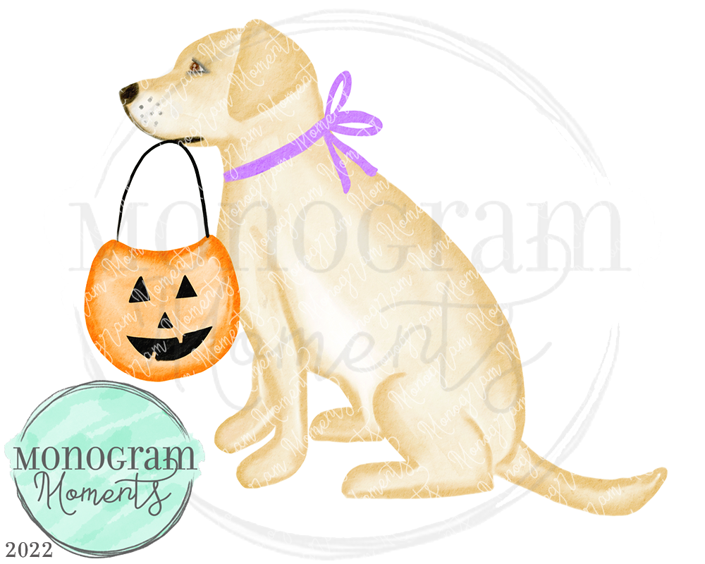 Girl's Trick or Treat Pup