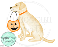 Trick or Treat Pup