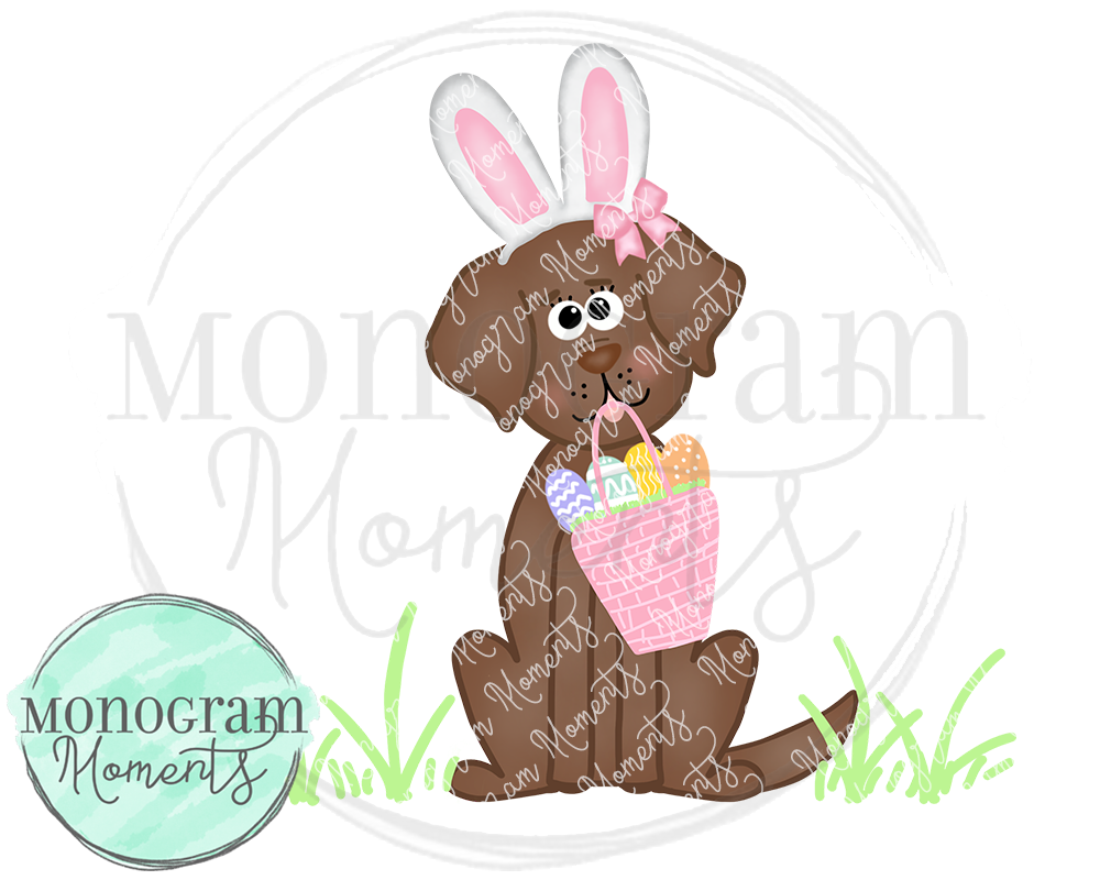 Girl's Easter Chocolate Lab
