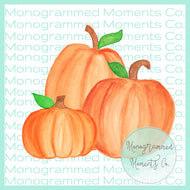 Pumpkin Patch