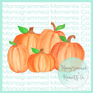 Large Pumpkin patch