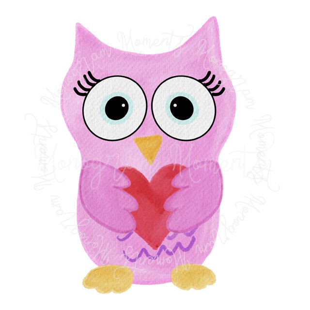 Girl's Valetine Owl