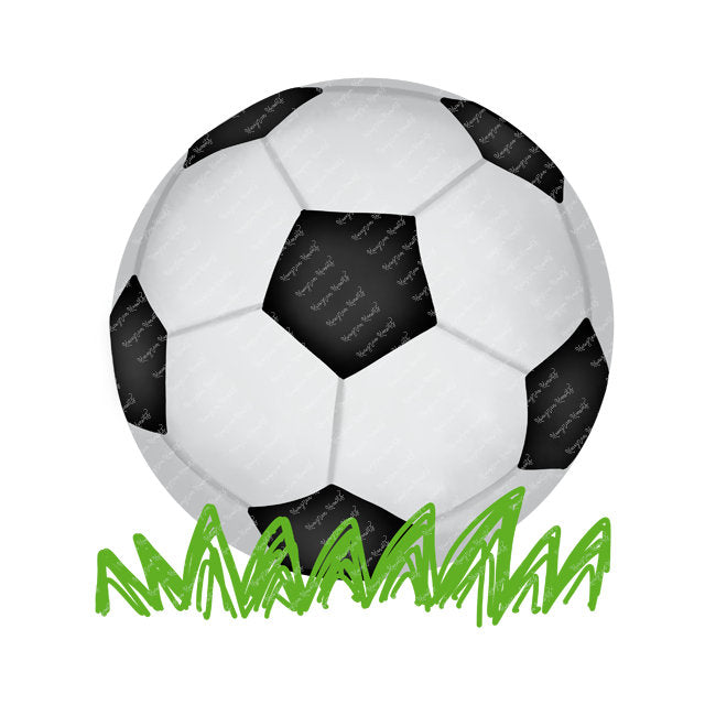 Soccer Ball Grass